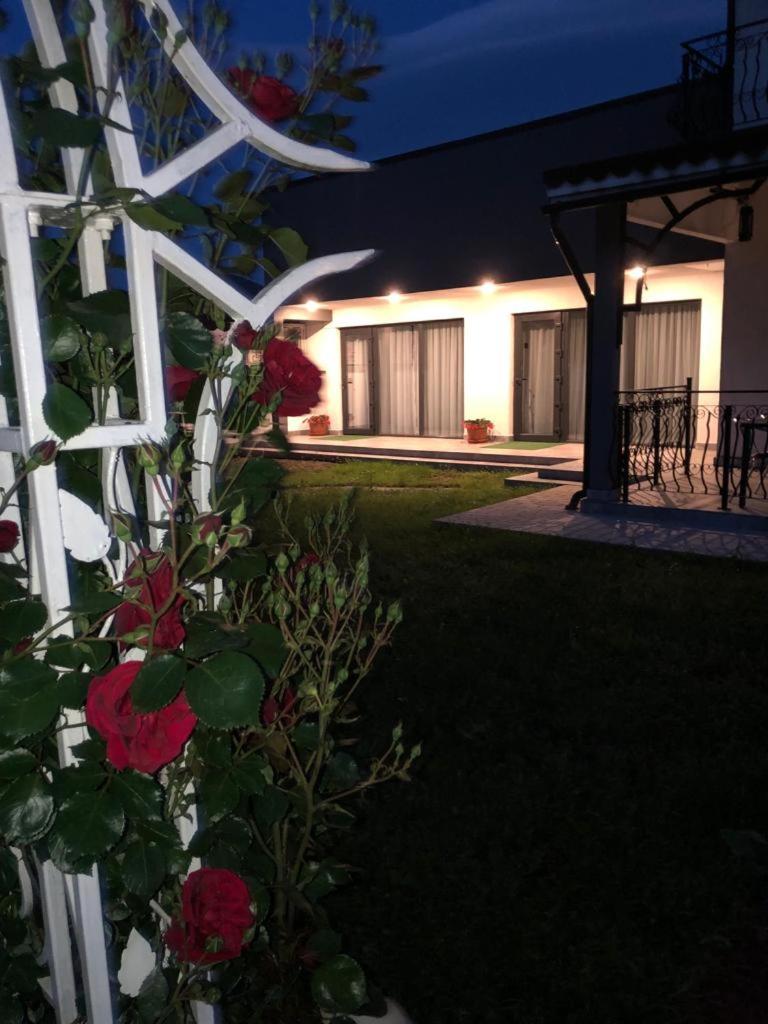דירות Aninoasa Casa Sonya מראה חיצוני תמונה